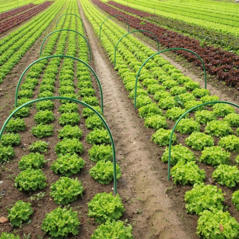 Set of 6 Greenhouse Plant Support Hoops