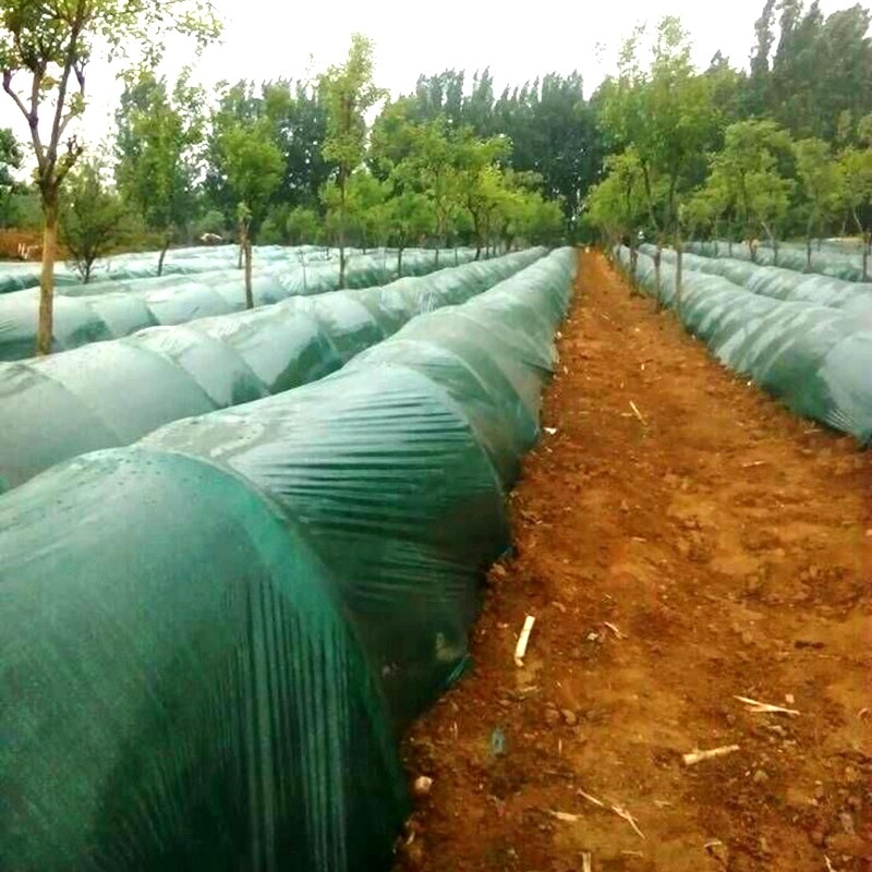 Greenhouse Film Protection Sheeting