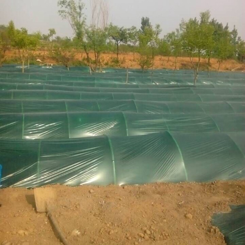 Greenhouse Film Protection Sheeting