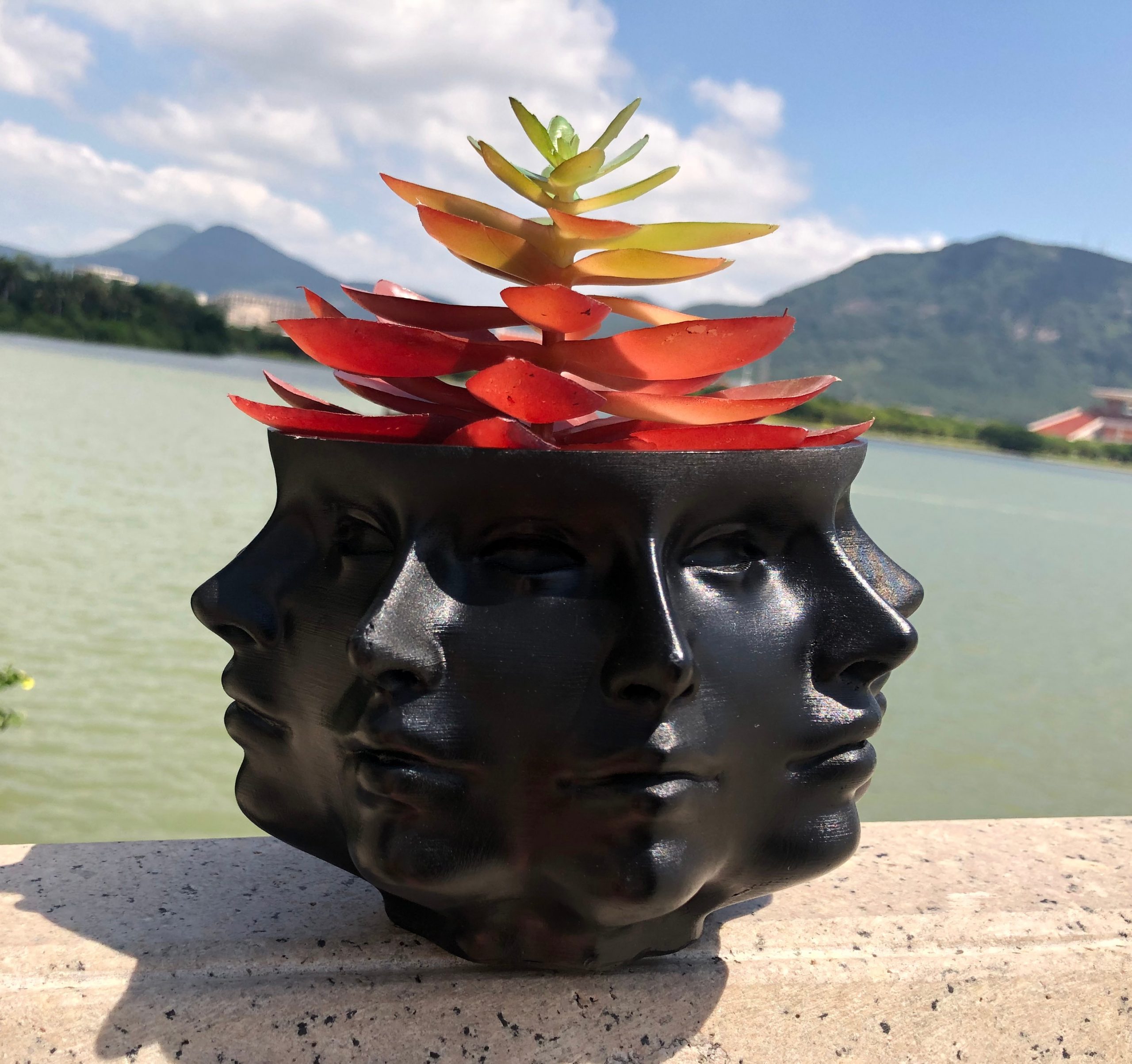 Multi-Face Succulent Planter in Black and White
