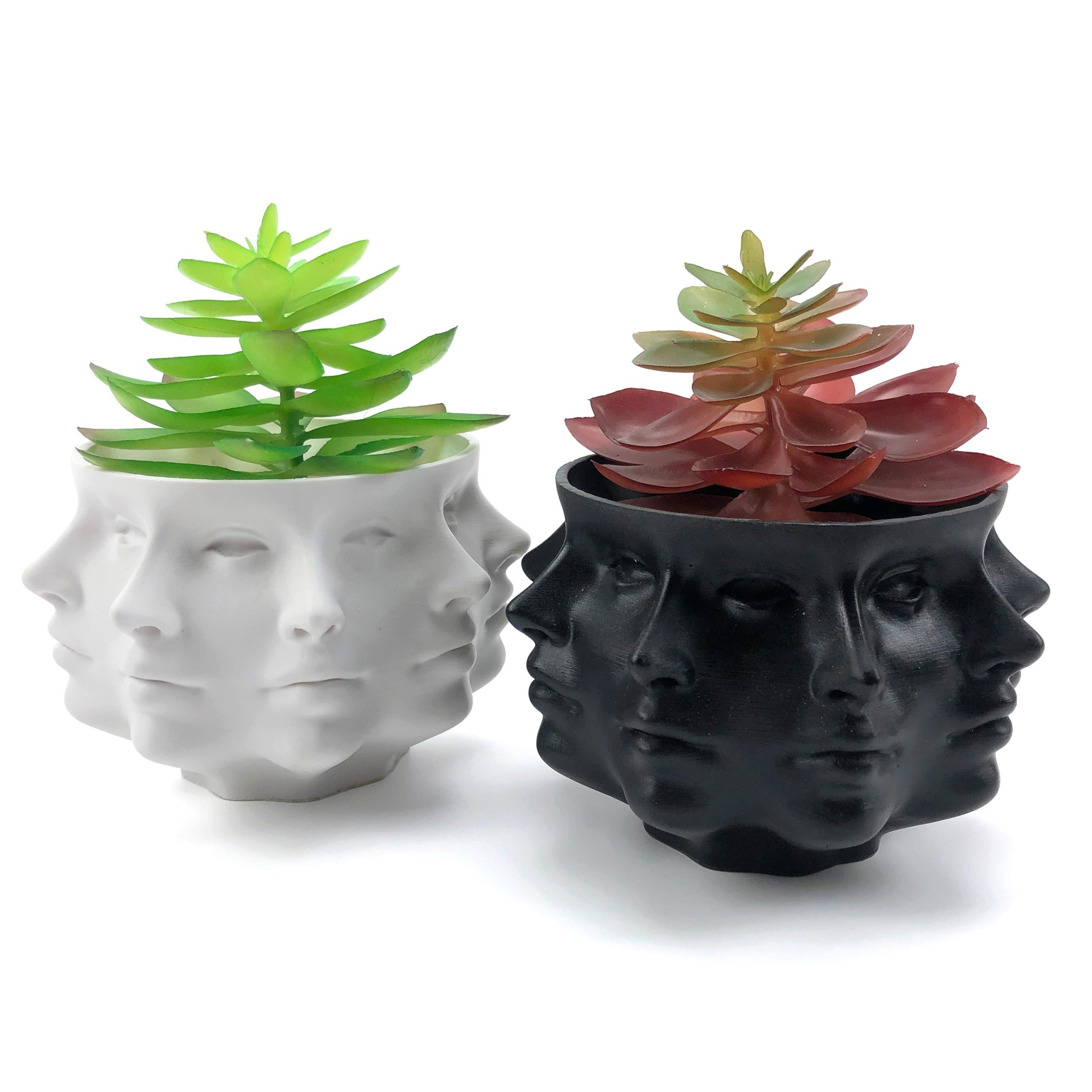 Multi-Face Succulent Planter in Black and White