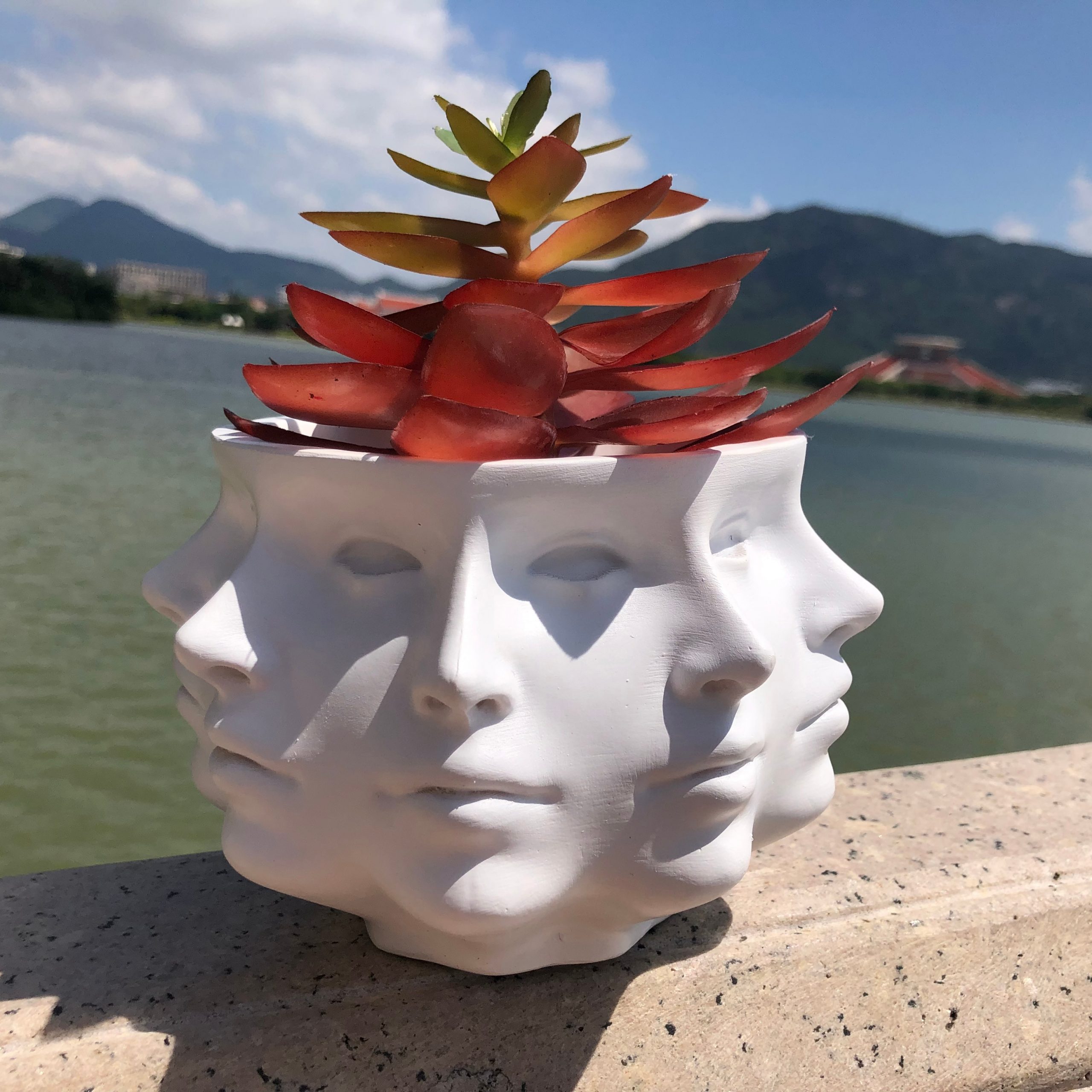 Multi-Face Succulent Planter in Black and White